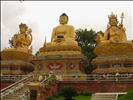 Buddhist Statues Golden, Swayambunath 